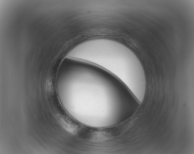 X0000079300408200611170834