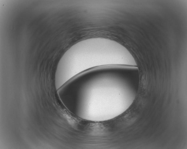 X0000079300424200611170834