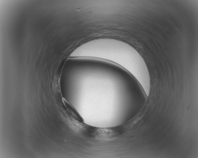 X0000079300429200611170834