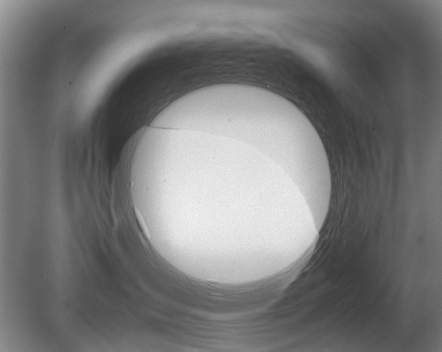 X0000079300431200611170834