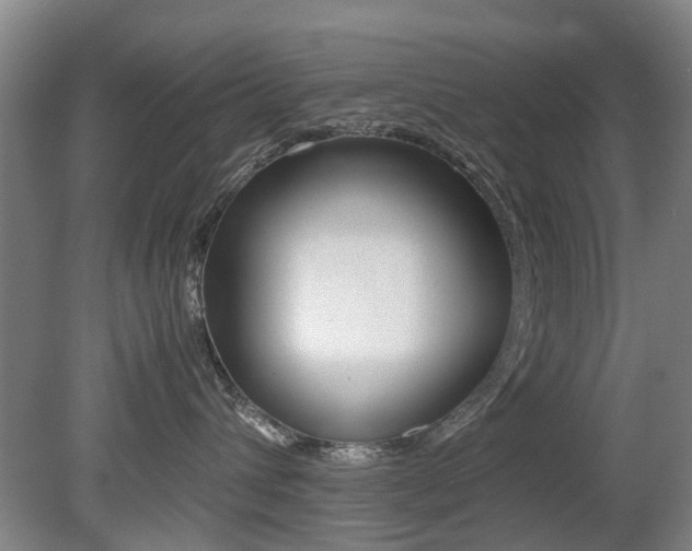 X0000079300432200611170834
