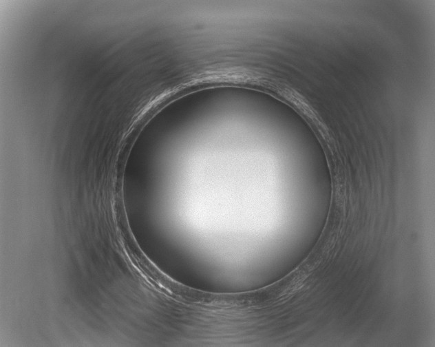 X0000079300434200611170833