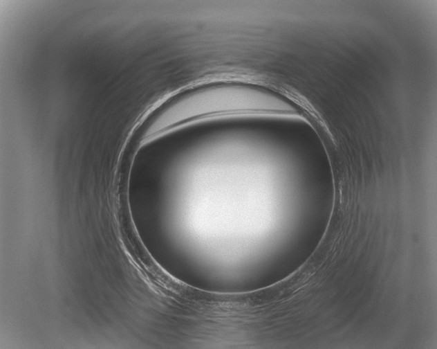 X0000079300436200611170833
