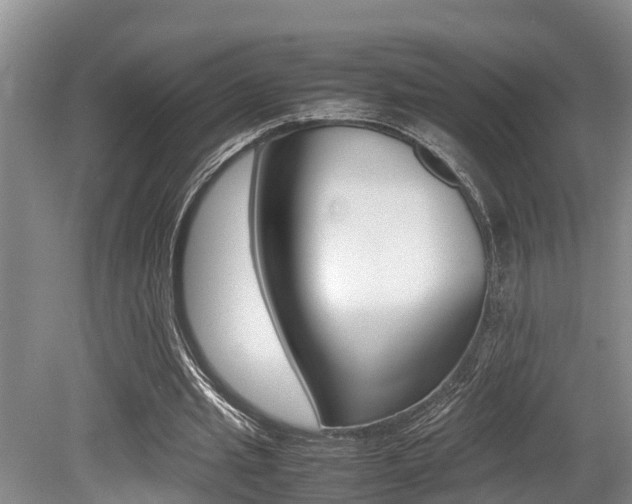 X0000079300437200611170833