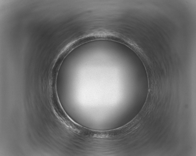 X0000079300440200611170833