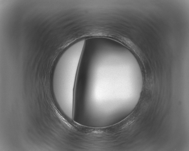 X0000079300441200611170833