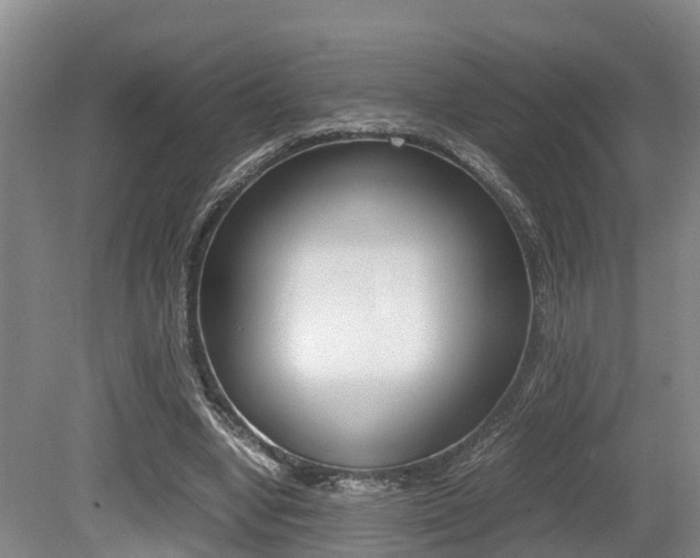 X0000079300442200611170833