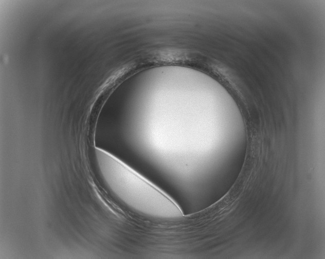 X0000079300443200611170833
