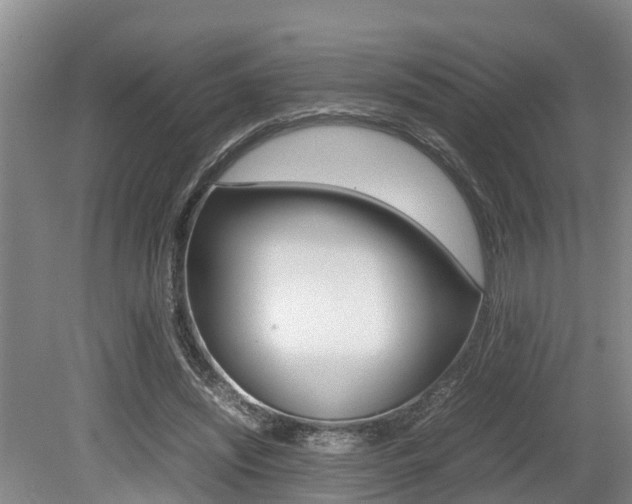 X0000079300444200611170833