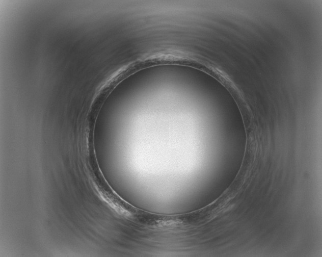 X0000079300446200611170833