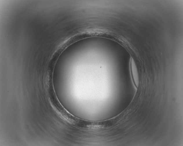 X0000079300448200611170833