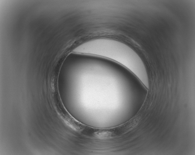 X0000079300452200611170833
