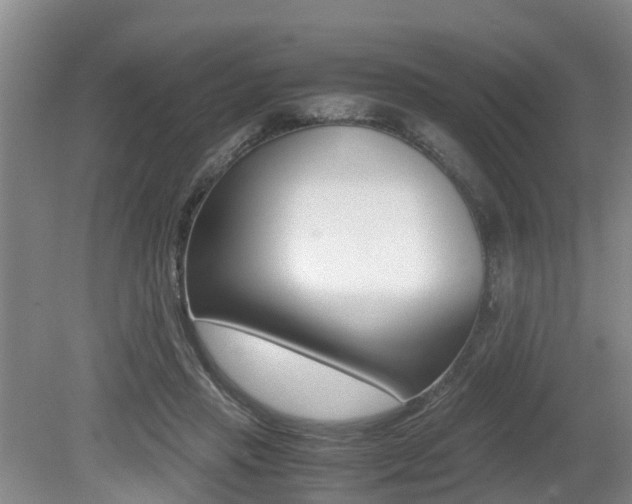 X0000079300453200611170833