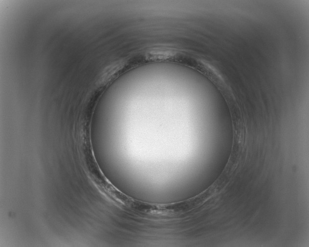 X0000079300455200611170833