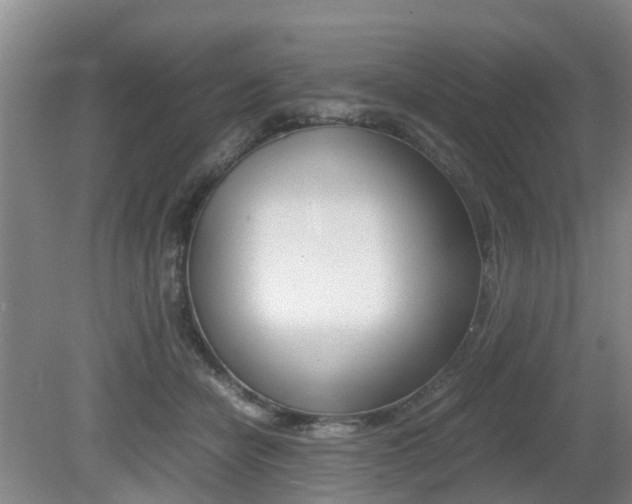 X0000079300462200611170833