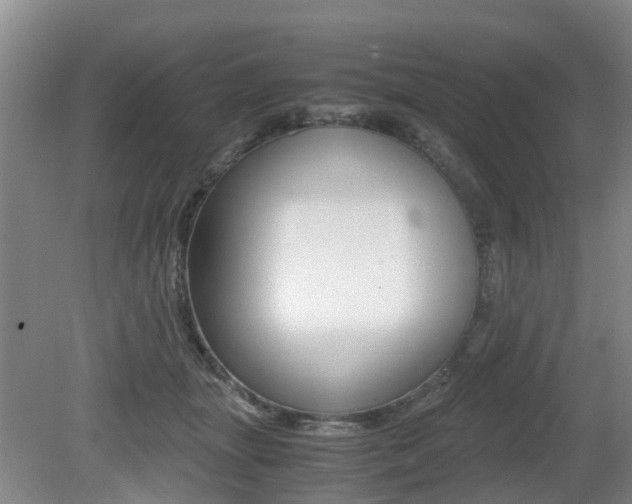 X0000079300463200611170833