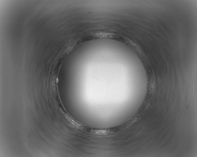 X0000079300473200611170833