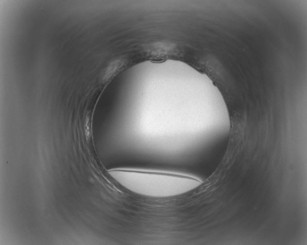 X0000079300479200611170834