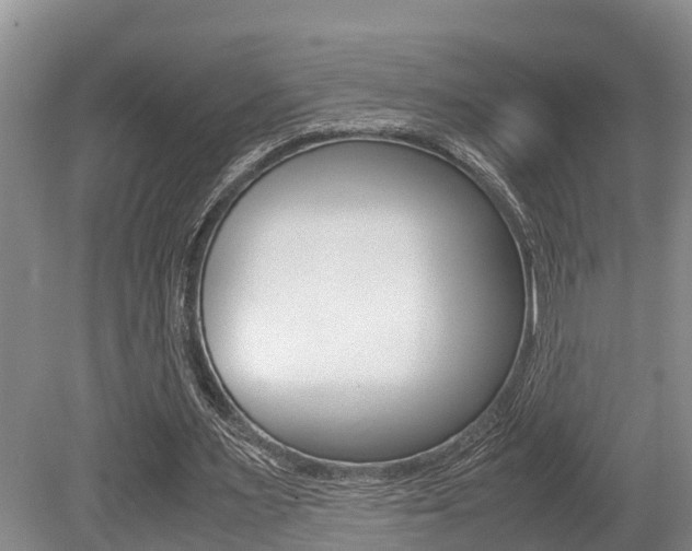 X0000079300483200611170833