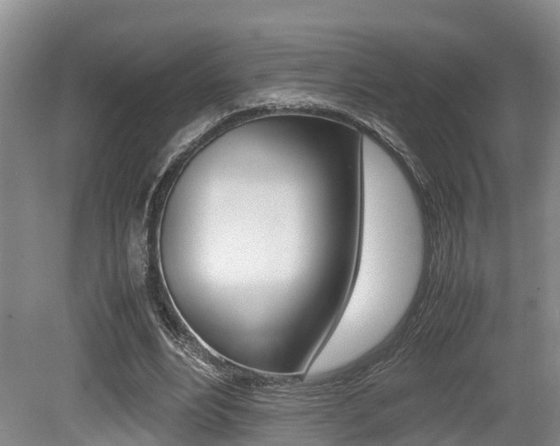 X0000079300488200611170833