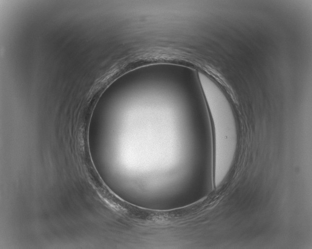 X0000079300489200611170833