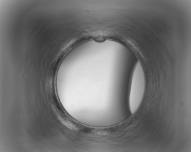 X0000079300491200611170833