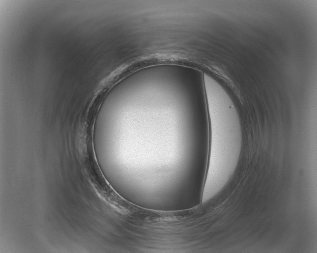 X0000079300492200611170833