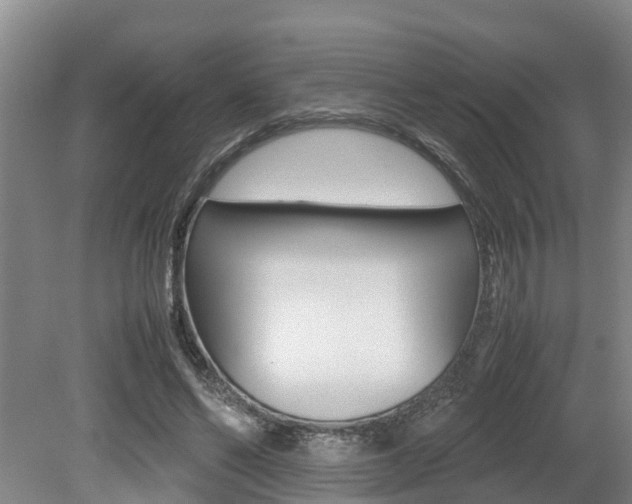 X0000079300494200611170833