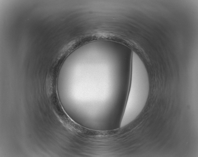 X0000079300496200611170833