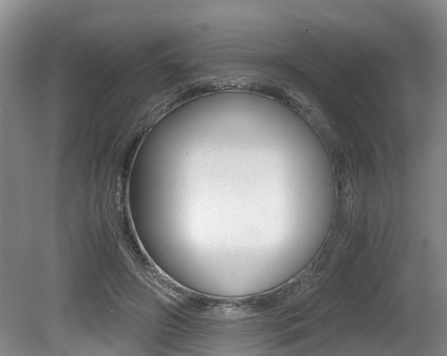 X0000079300498200611170832