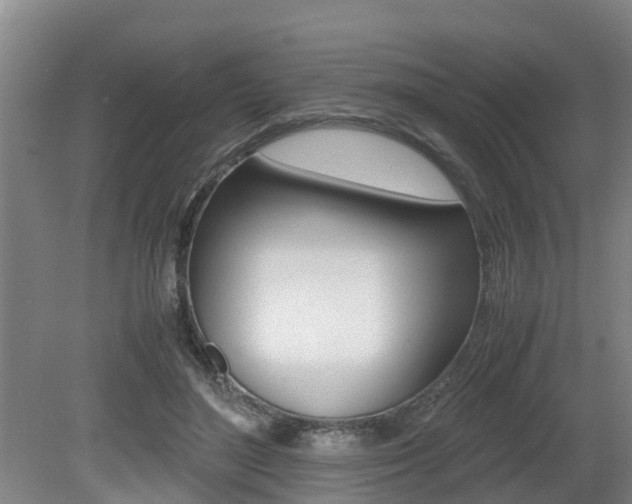 X0000079300500200611170832