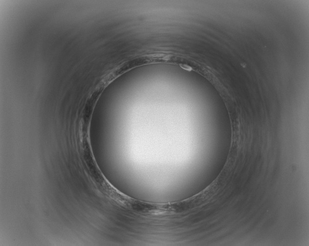 X0000079300504200611170832