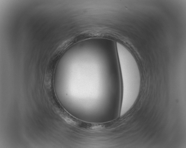X0000079300505200611170832