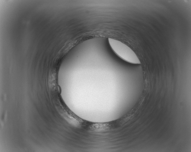 X0000079300526200611170832
