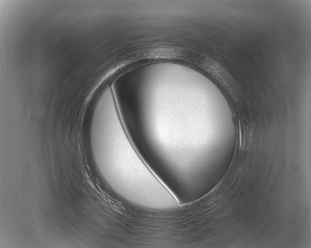 X0000079300531200611170831
