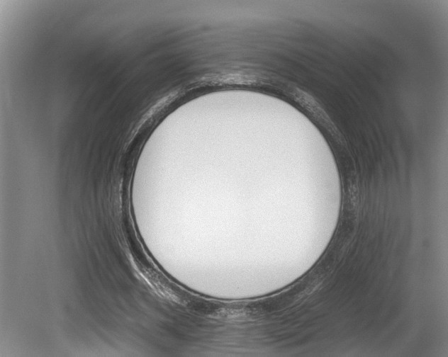 X0000079300534200611170831
