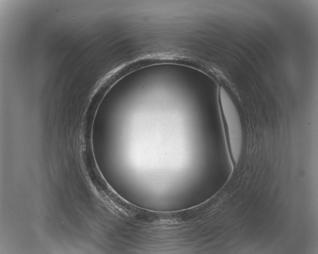 X0000079300536200611170831