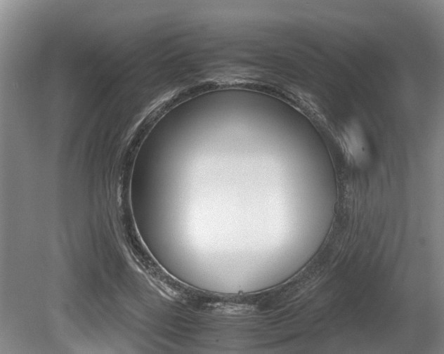 X0000079300539200611170831