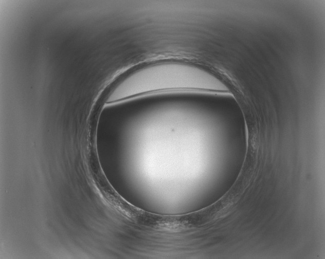 X0000079300540200611170831