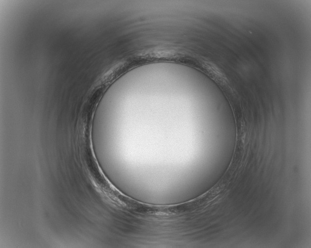X0000079300542200611170831
