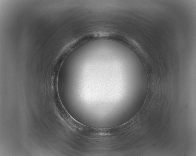 X0000079300543200611170831