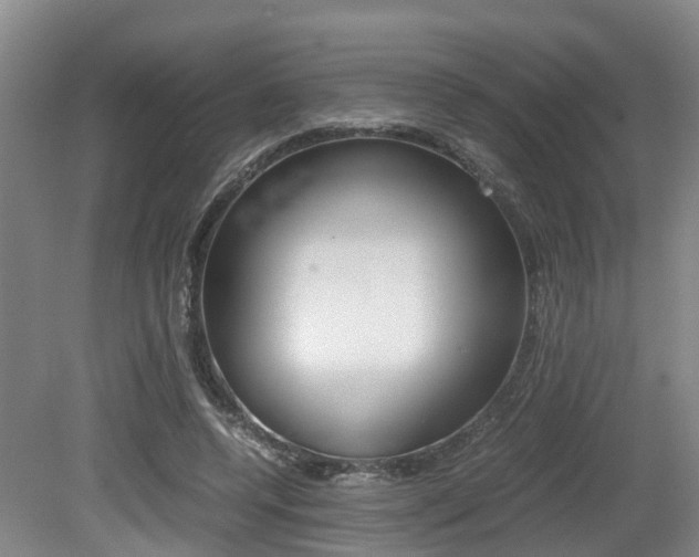 X0000079300544200611170831