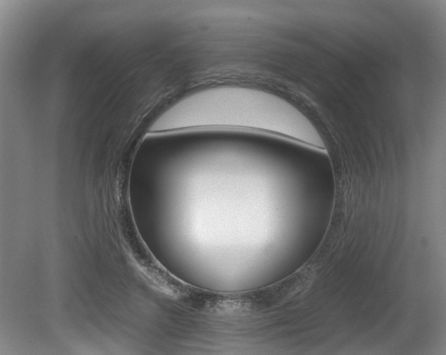 X0000079300546200611170831