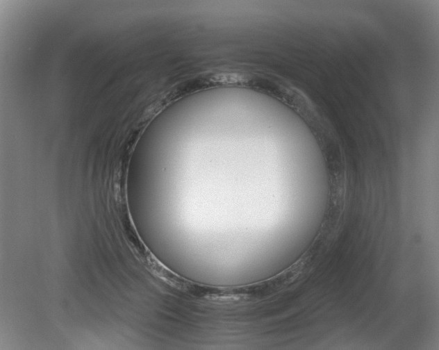 X0000079300553200611170832