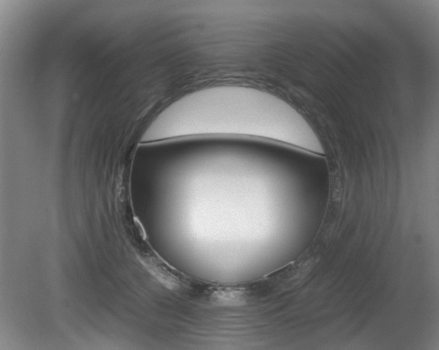 X0000079300560200611170832