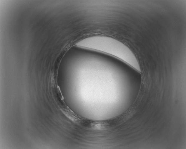 X0000079300564200611170832