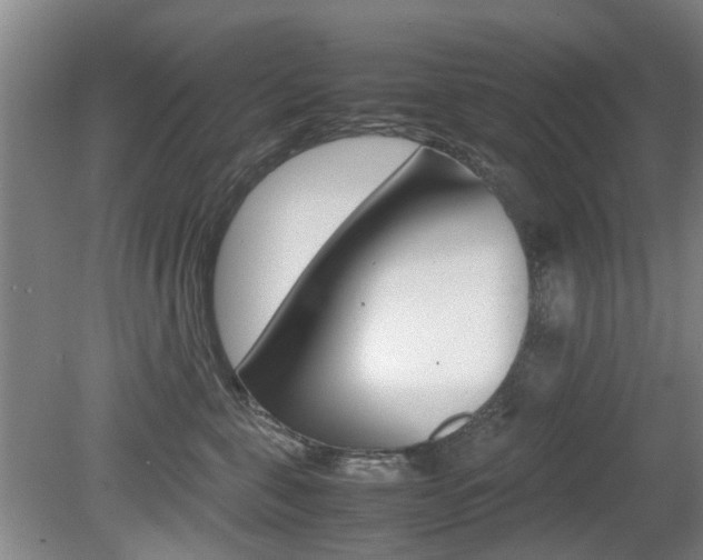 X0000079300571200611170832