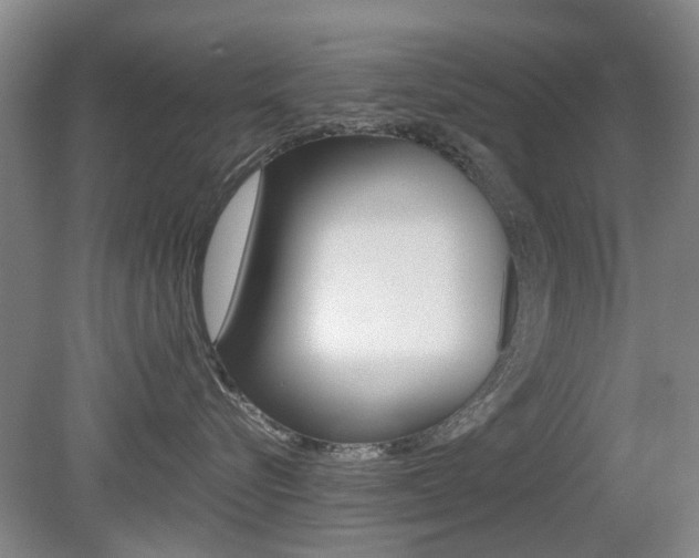 X0000079300576200611170832