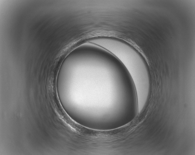X0000079300581200611170831