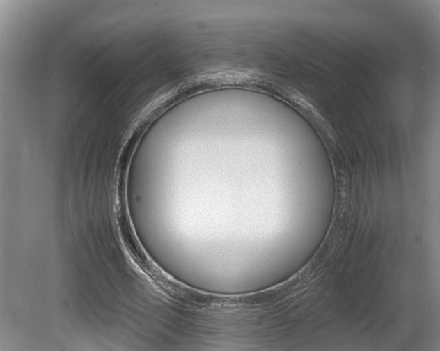 X0000079300582200611170831
